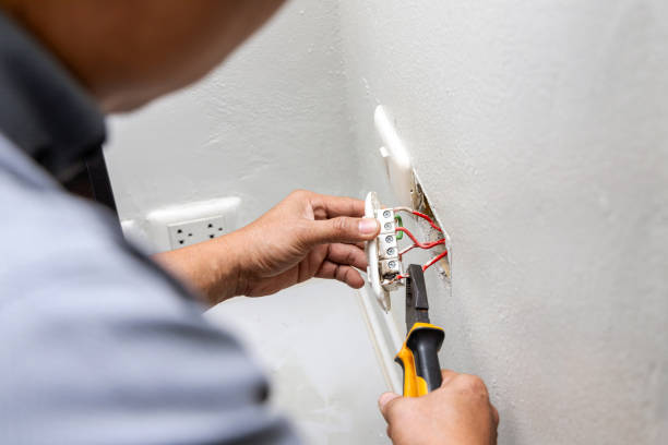 Best Electric Panel Repair  in The Galena Territory, IL